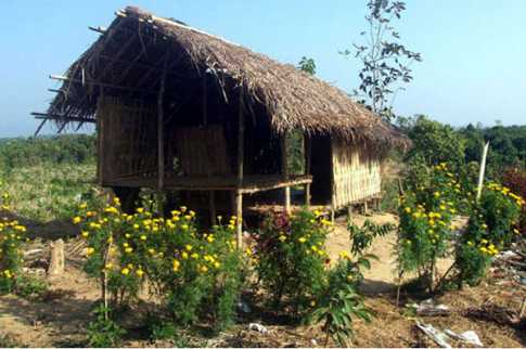 অস্তিত্ব হারাচ্ছে পাহাড়ি ছন